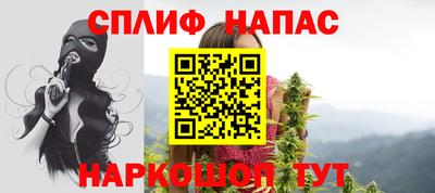 дживик Сланцы