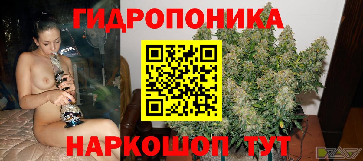 Бошки Шишки AK-47  Бошки марихуана сатива  Вход с VPN  Петрозаводск  Марихуана SATIVA & INDICA 